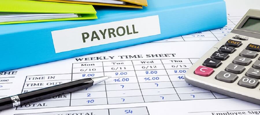 Payroll Software in Pakistan for Small Business: All You Need to Know